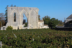 Saint Emilion la grande muraille et les vignes