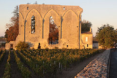 Soleil couchant sur les vignes et la grande muraille