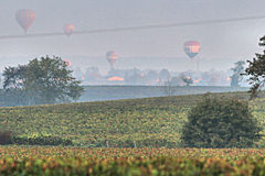 2017la vigne et les ballons à Saint Emilion | 33-bordeaux.com