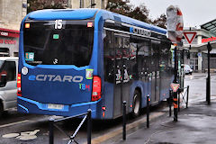 Bordeaux Bus électrique Bluebus sur la ligne 15 TBM | photo Bernard Tochaport