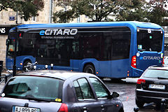 Bordeaux Bus électrique Bluebus sur la ligne 15 TBM | photo Bernard Tochaport