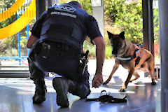 Jeu et complicité homme & chien brigade cynophile gare Saint Jean | Photo Bernard Tocheport