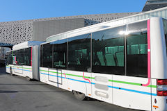 Décoration des autobus Transports Bordeaux Métropole TBM | 33-bordeaux.com