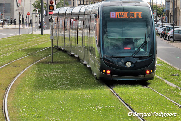 Aiguillage du tram de Bordeaux | Photo Bernard Tocheport