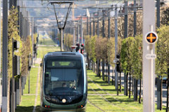 Tramway de Bordeaux avenue Thiers rive droite -  photo 33-bordeaux.com