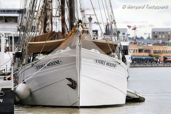 Proue de l'Etoile Molène Dundee thonier mixte à Bordeaux | Photo Bernard Tocheport