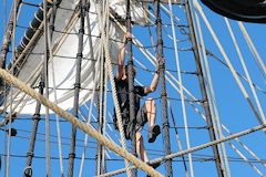 Marin dans les mats de l'Hermione à Bordeaux -  photo 33-bordeaux.com