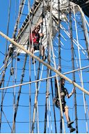 Marins en action dans la mâture de l'Hermione | photo 33-bordeaux.com