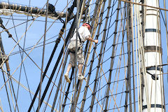 Marin de l'Hermione à Bordeaux | Photo Bernard Tocheport