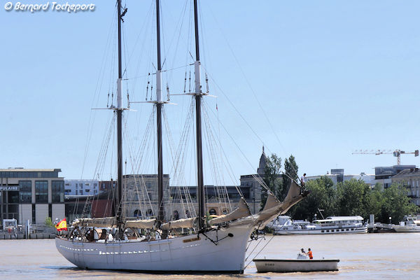 Le voilier Pascual Flores naviguant sur la Garonne à Bordeaux | Photo Bernard Tocheport