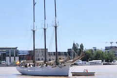 Le voilier Pascual Flores naviguant sur la Garonne à Bordeaux | Photo Bernard Tocheport