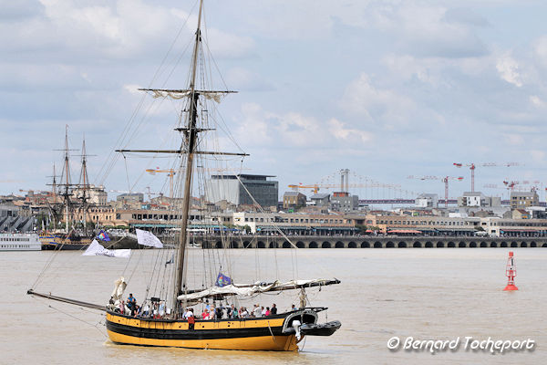 Le Renard Cotre Corsaire à hunier naviguant sur la Garonne à Bordeaux | Photo Bernard Tocheport