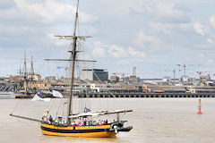 Le Renard Cotre Corsaire à hunier naviguant sur la Garonne à Bordeaux | Photo Bernard Tocheport