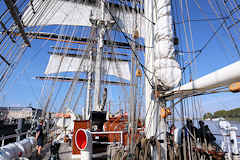 Bordeaux à bord du clipper Stad Amsterdam | Photo Bernard Tocheport